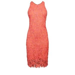 Alexia Admor pink and peach‎ lace overlay dress